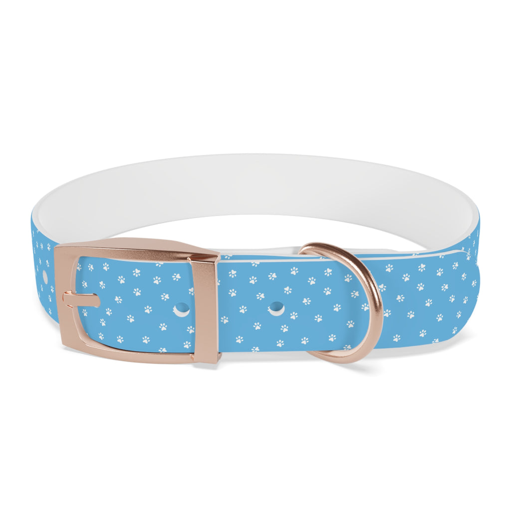 Collier pour chien à motif de patte bleue