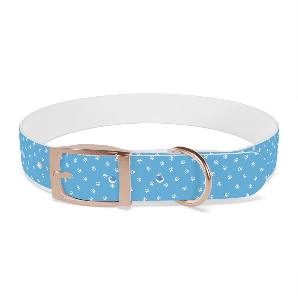 Collier pour chien à motif de patte bleue